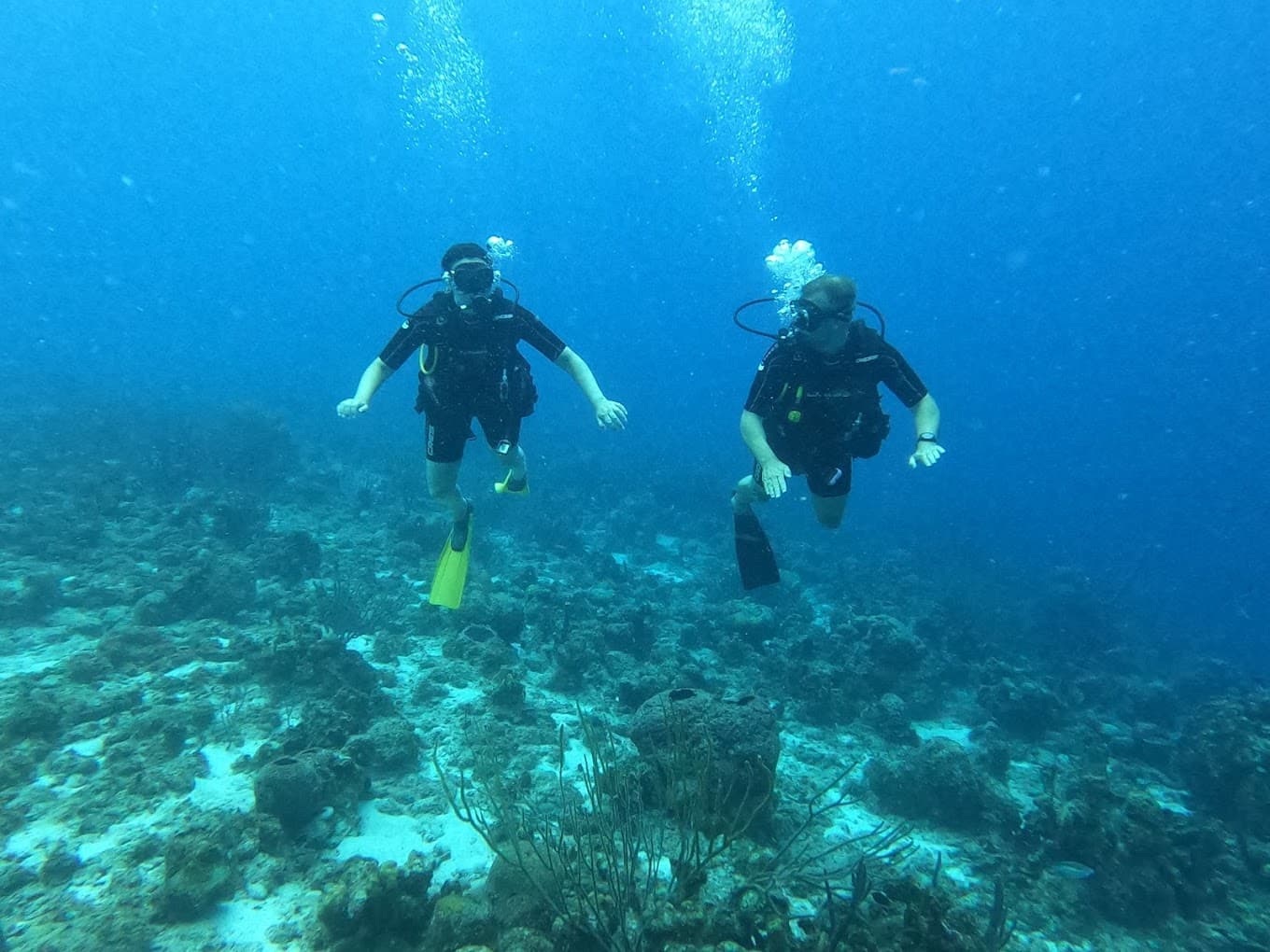 B Diving & Watersports