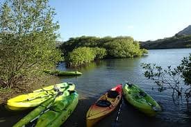 Rif Mangrove Park