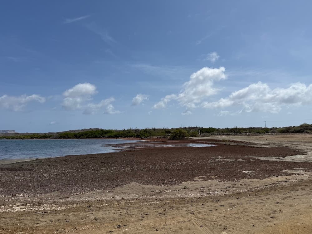 Kite spot beach