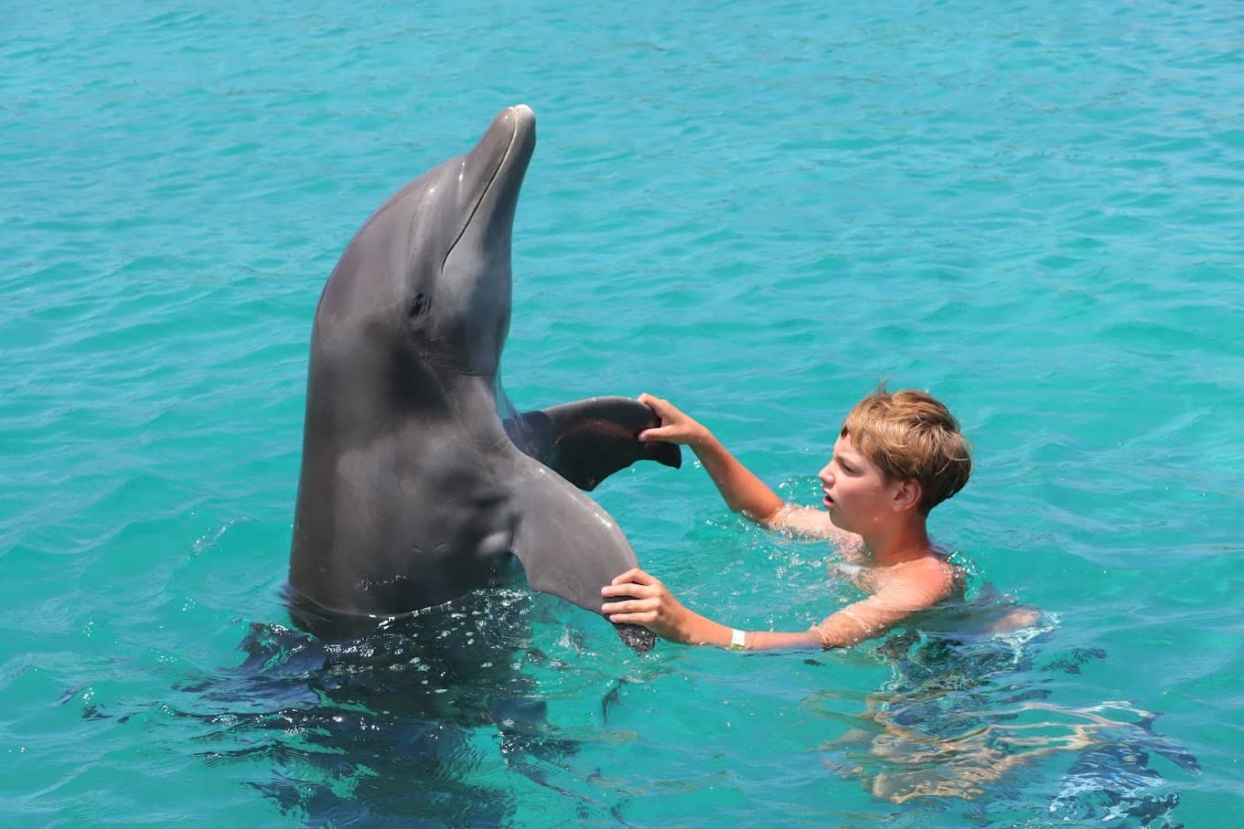 Curaçao Dolphin Academy