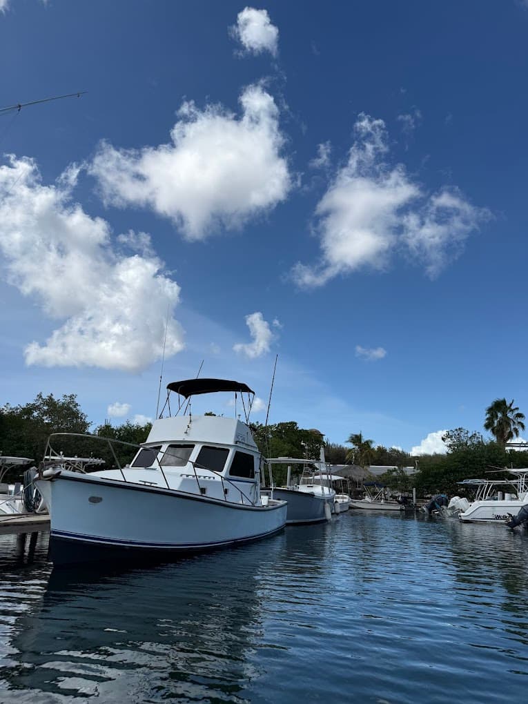 Trip And Treat VIP Boat Tours Curaçao