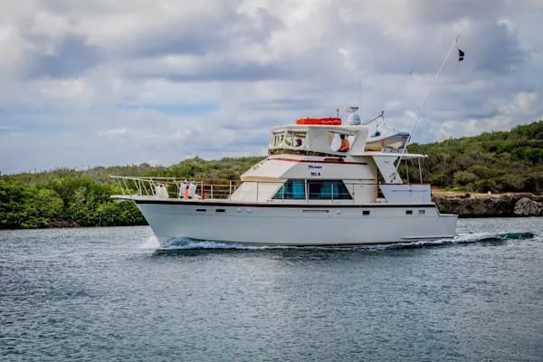 Miramar Boat Trips