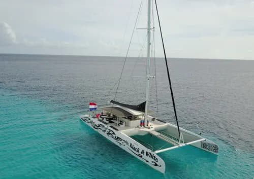 Catamaran Black & White by BlueFinn Charters