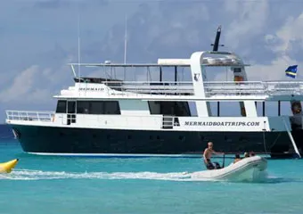 Mermaid Boat Trips