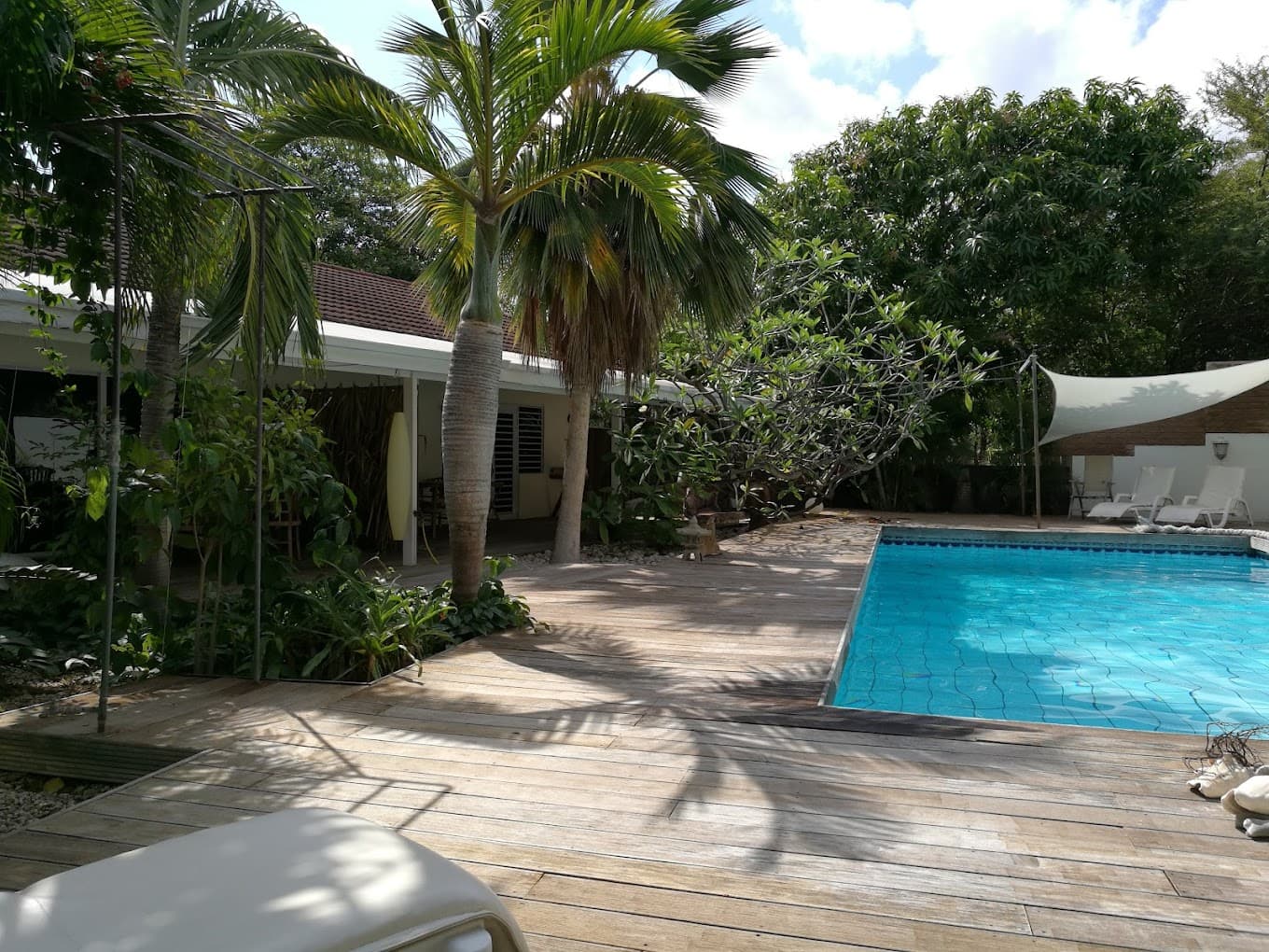 Frangipani Apartments Curaçao