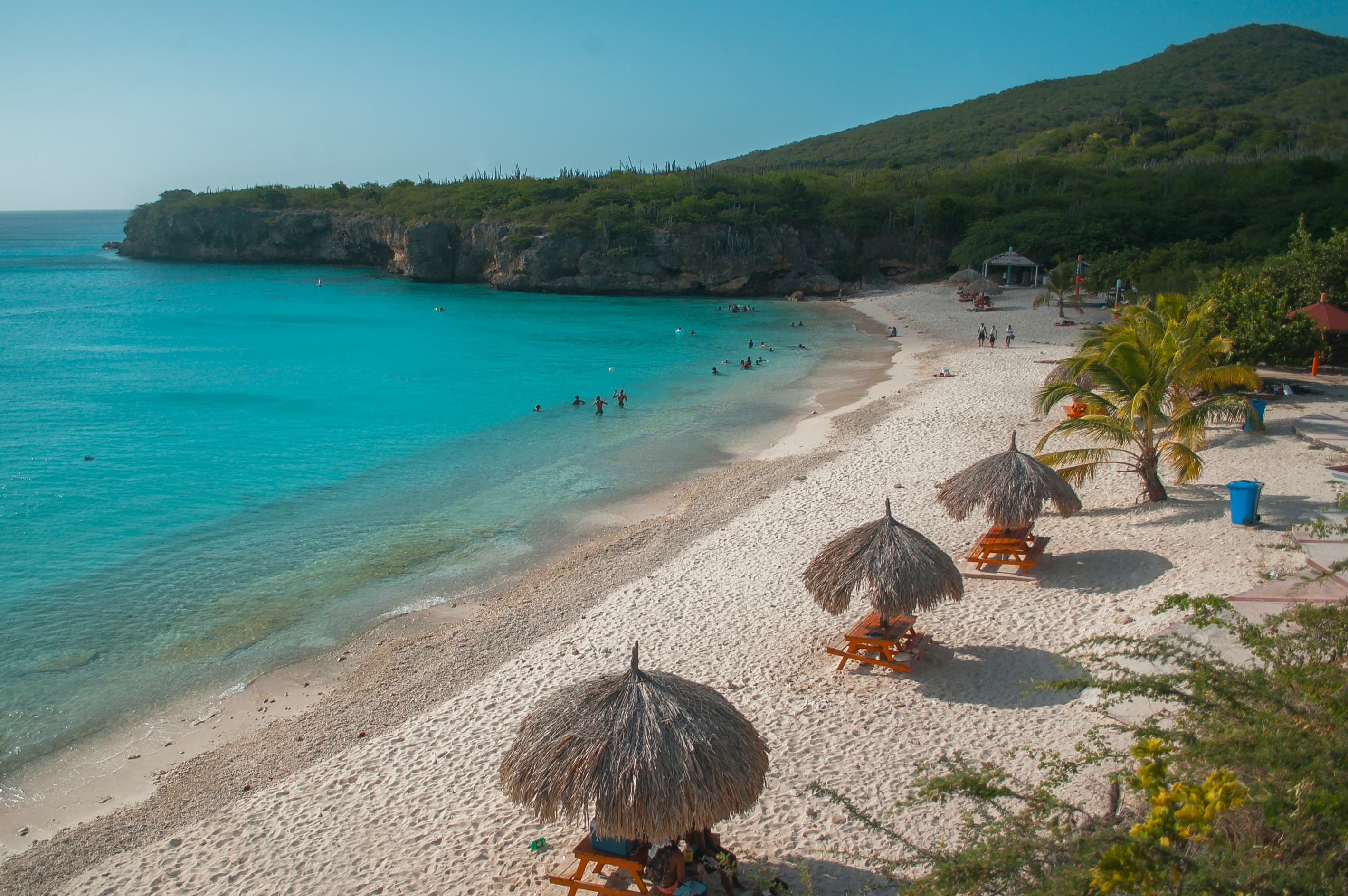 Kenepa Grandi (Grote Knip)