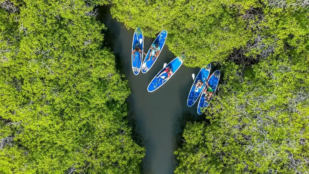 Kayaking in Spanish Water (Spaanse Water)